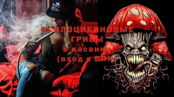 PSILOCYBIN Абинск