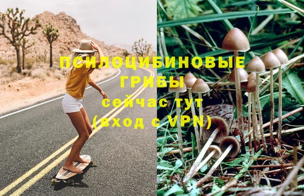 PSILOCYBIN Абинск