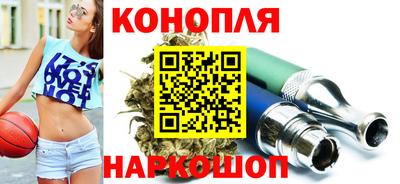 дживик Можга
