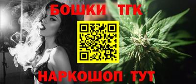 дживик Можга