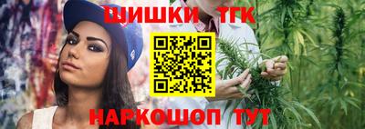 дживик Можга
