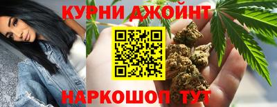 дживик Можга