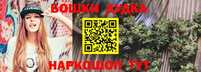 дживик Можга