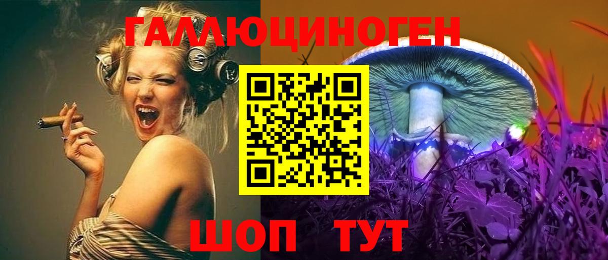 Галлюциногенные грибы Psilocybine cubensis Симферополь